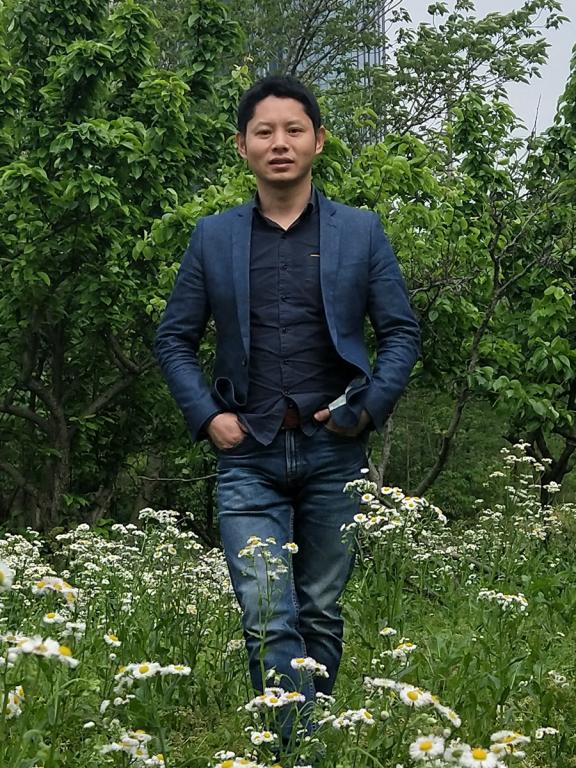 ms88明升