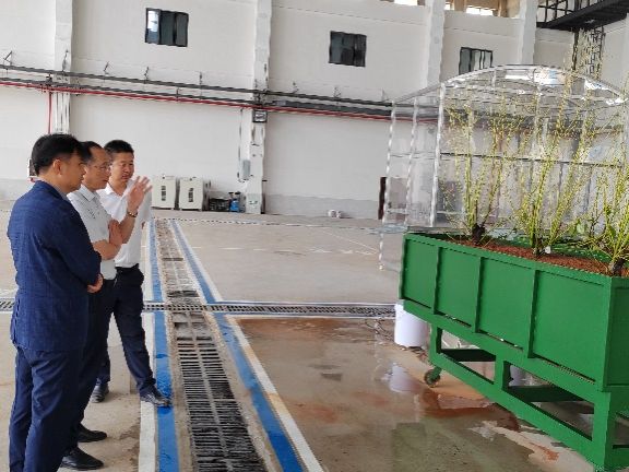 ms88明升