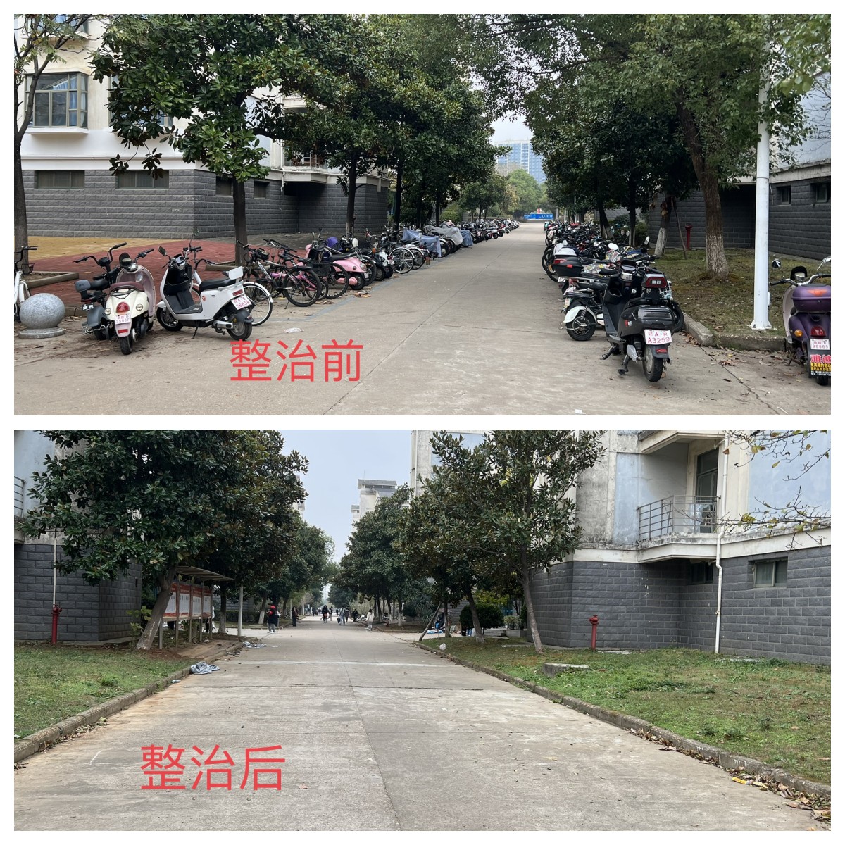ms88明升
